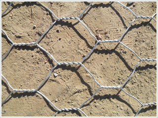 ʯ�\�W(w��ng)