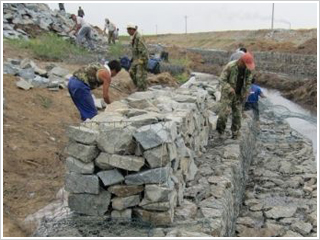 ʯ�\�W(w��ng)��