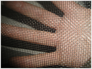 �����Y�W(w��ng)