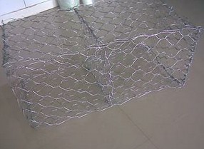 ���e�W������